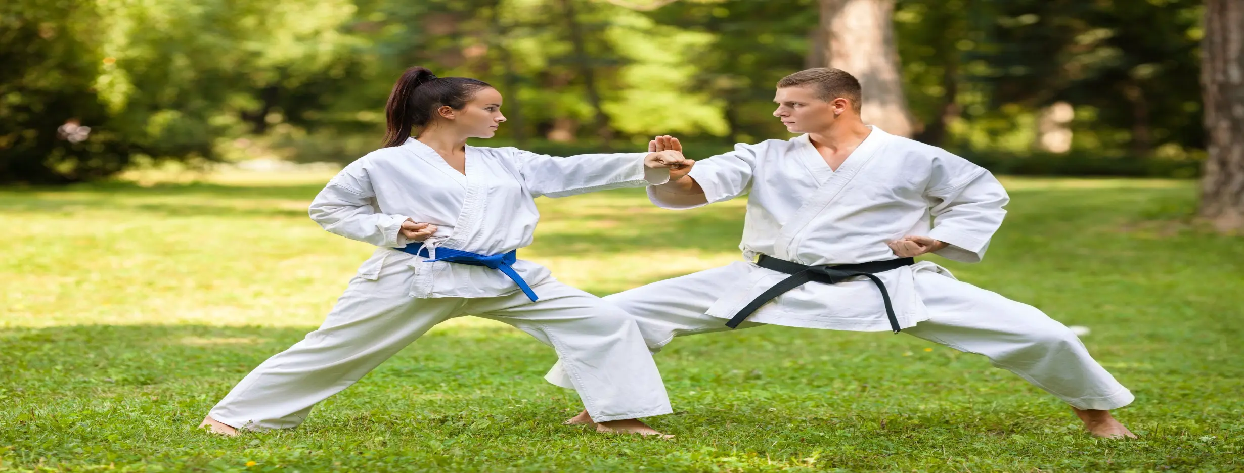 Image for Martial Arts Workshop